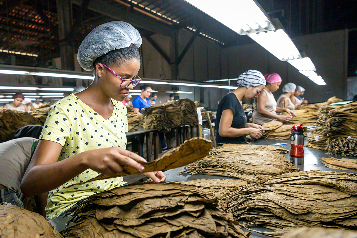 villiger-brazil-factory-3-1200.jpg