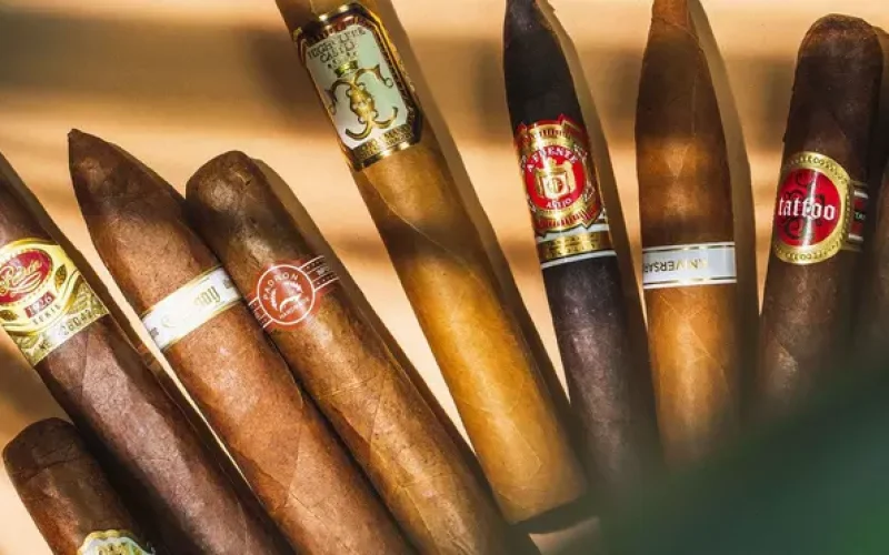 Charutos dominicanos: Um saboroso rival que deve ser apreciado