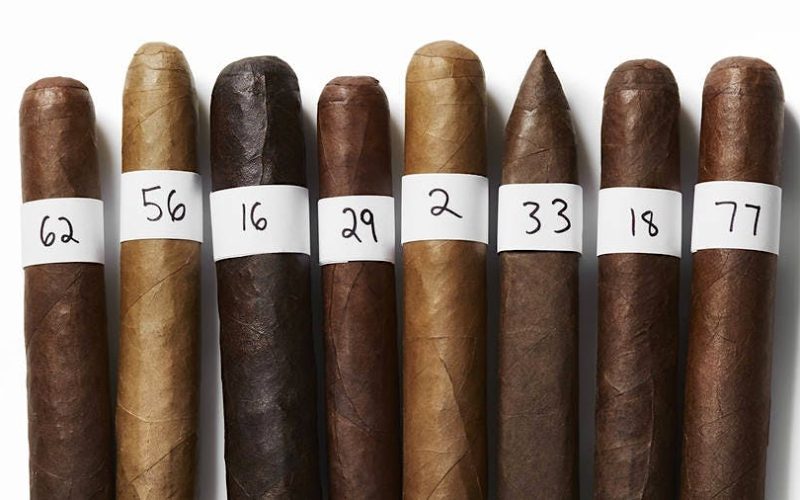Tipos de charutos para todos os paladares: Explorando a diversidade