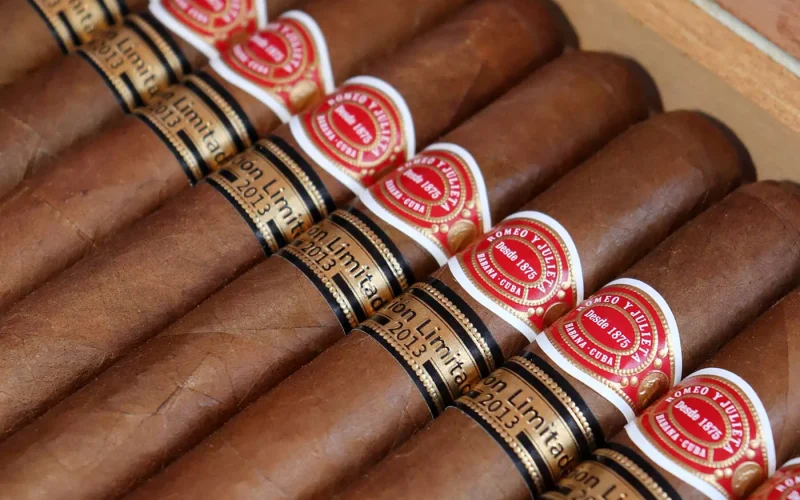 Charutos para Iniciantes: Uma Jornada pelo mundo dos charutos