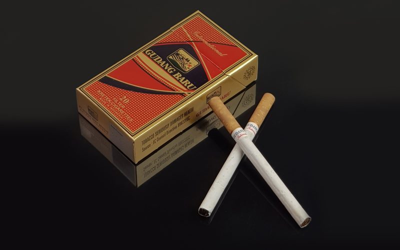 Cigarro Gudang Baru International Cravo