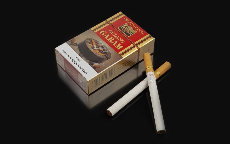 Cigarro Gudang Garam Professional Cravo