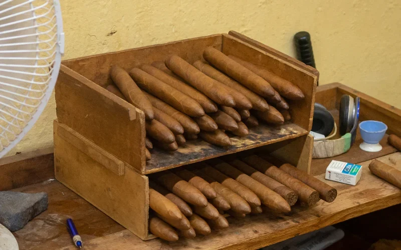 As Seis Partes de um Charuto Cubano