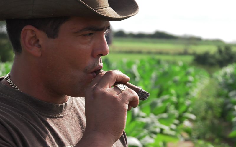 Robaina Documentary Screening Next Week Em Nova York