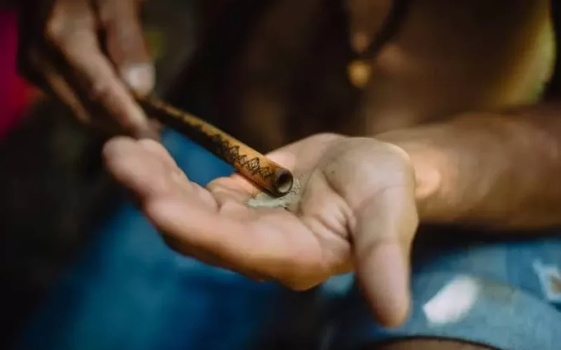 A tradição ancestral do rapé: Uma viagem pelo mundo dessa forma única de tabaco