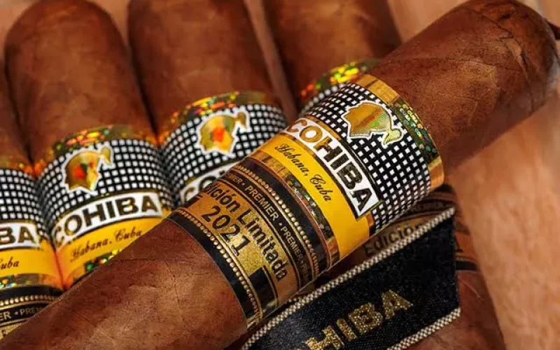 Os melhores charutos do mundo: Uma jornada pelo mundo dos sabores