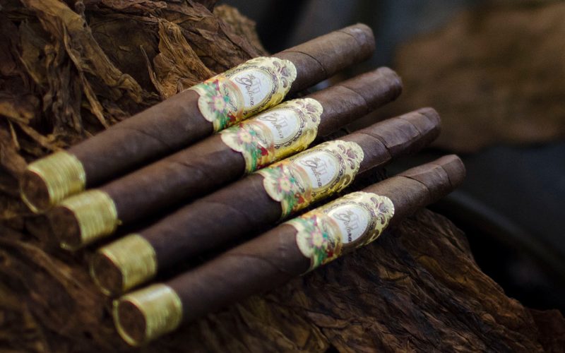 Charutos de Indianhead adicionando Gavillero Perfecto à linha La Galera