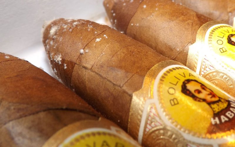 Plume ou Bloom: Como saber se o charuto está com mofo