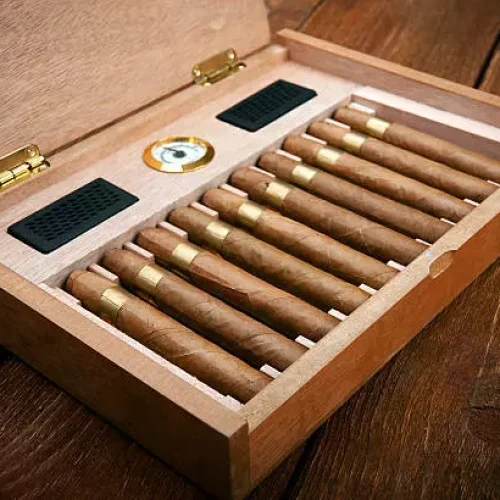 Utilizando um umidor: mantendo os charutos em perfeitas condições