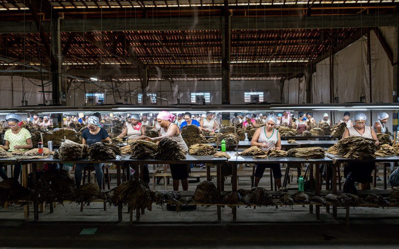 Villiger inaugura nova fábrica de charutos no Brasil